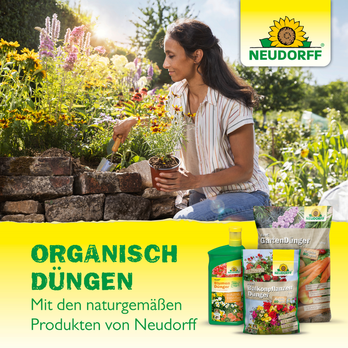 Neudorff Azet bâtons d'engrais pour tomates et fraises - Silberkraft