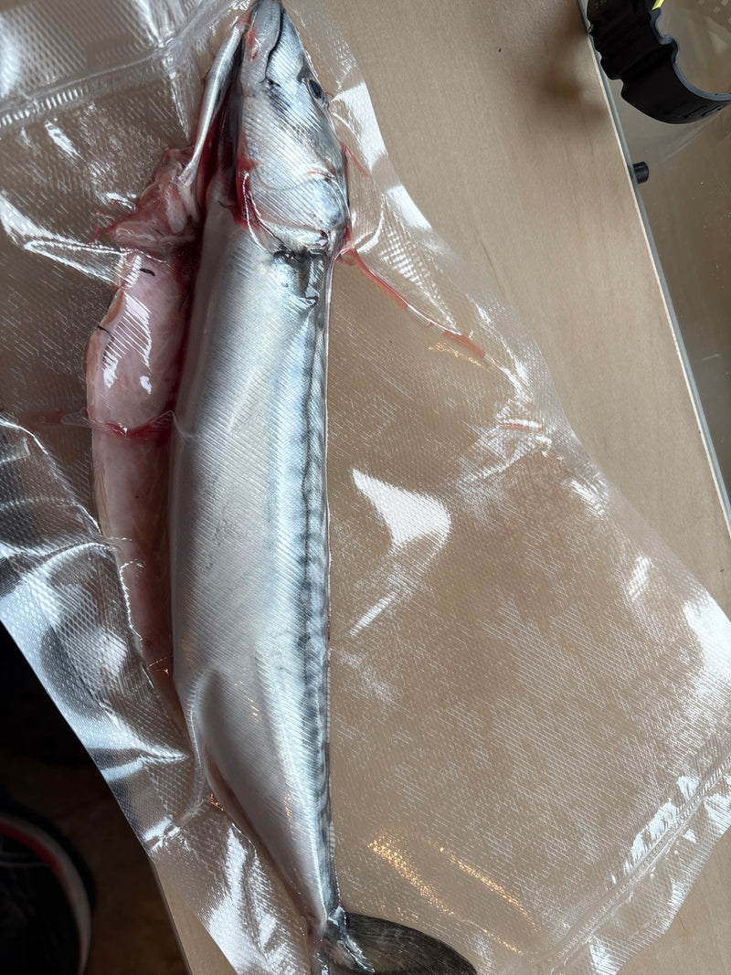 Poisson-globe Silverline — Bild 1
