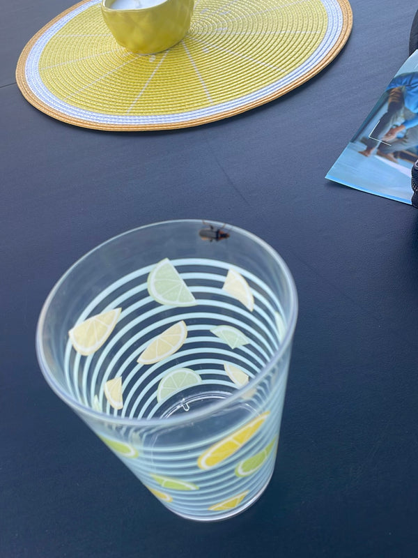 Un dermeste du lard est posé sur le bord supérieur d'un verre à boire. Le verre est posé sur une table sombre à côté d'un set de table.