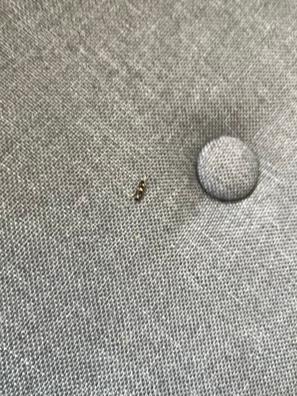 Une petite larve de dermeste est assise sur un tissu d'ameublement gris.