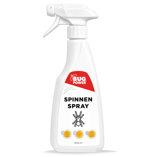 Spray araignée BugPower - efficace contre les araignées - puissance argentée
