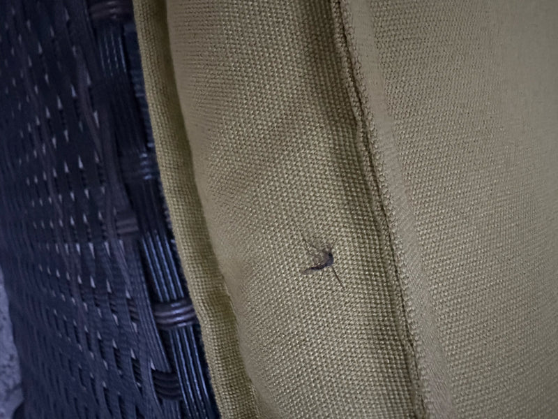 Un moustique adulte est posé sur un coussin jaunâtre texturé. La perspective montre l'insecte par-dessus.