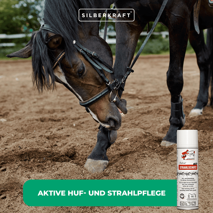 Spray de radioprotection pour sabots de chevaux robustes