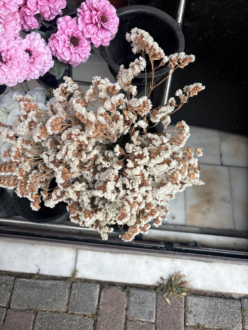 On voit un bouquet de statice séché vu du haut. La plante est dans un récipient.