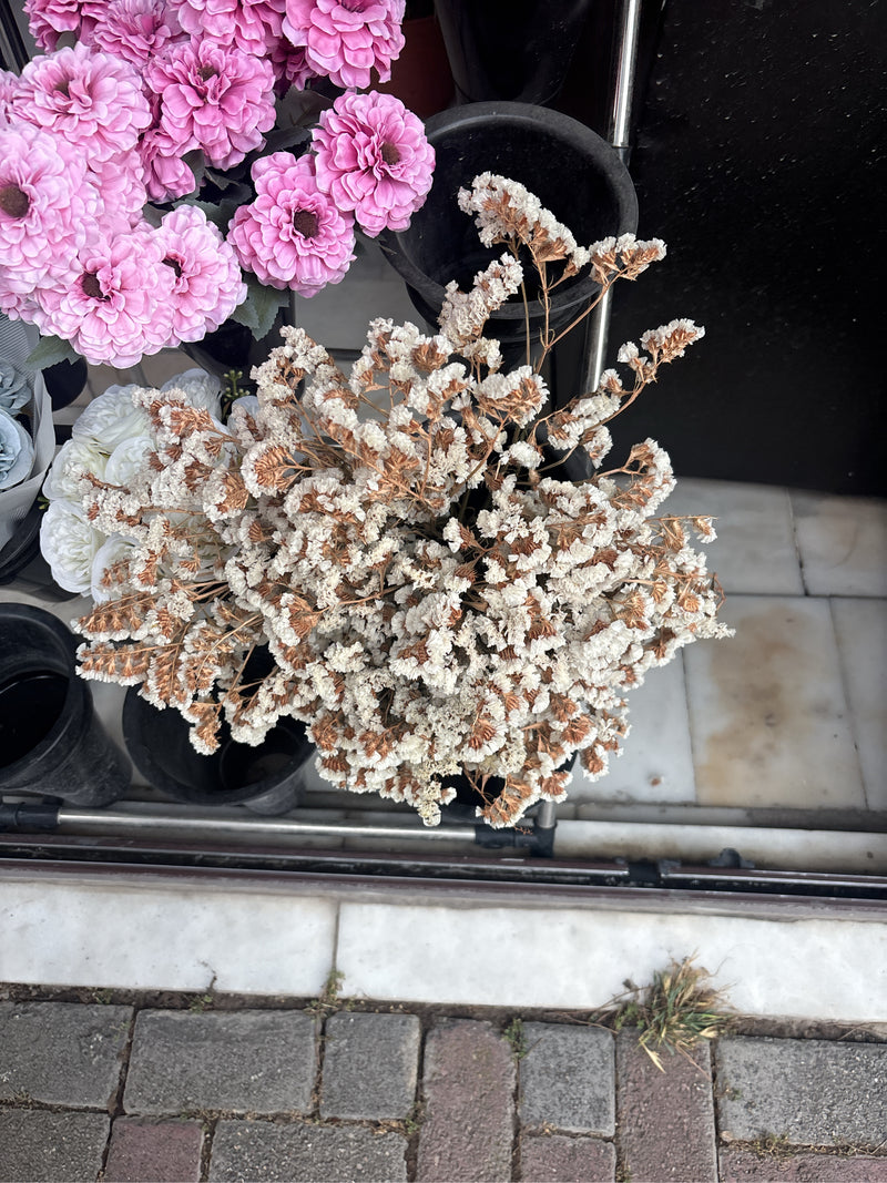 On aperçoit un bouquet dense de statice séchée vu du dessus dans un récipient. Les tiges ramifiées portent de nombreuses inflorescences pâles et séchées.