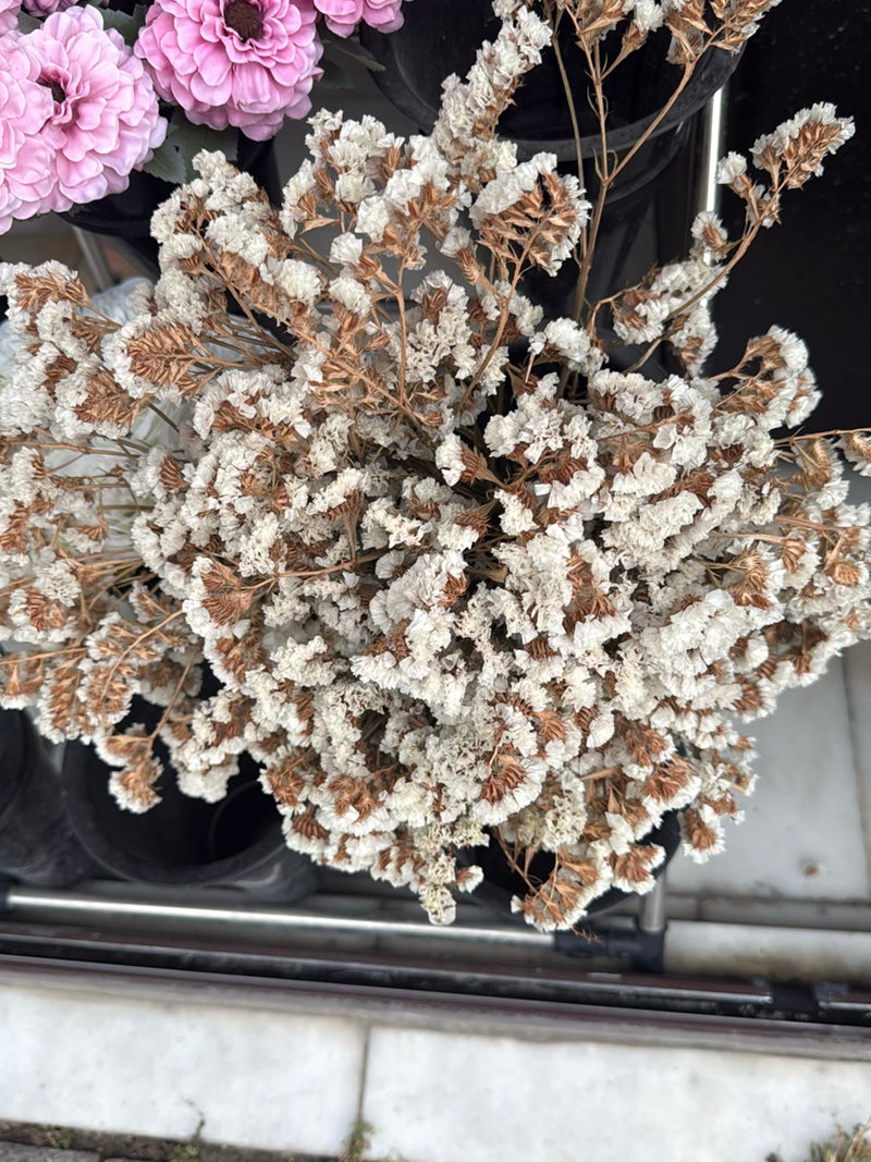 On peut voir un bouquet dense de statice séchée vu du dessus. Les inflorescences séchées présentent des teintes typiques brunâtres et plus claires.