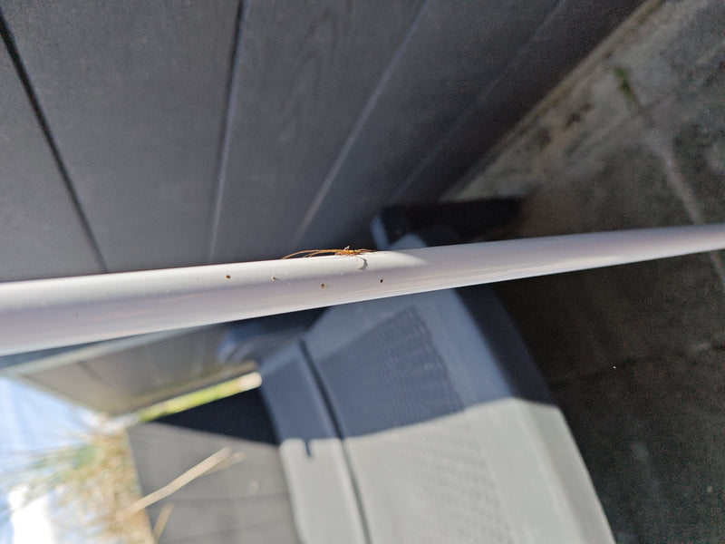 Araignée extenseur — Bild 1