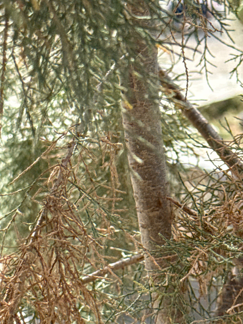 tamaris — photo 2 sur 7