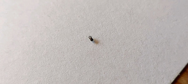 Un petit anthrène commun repose sur une surface en papier blanc texturé.