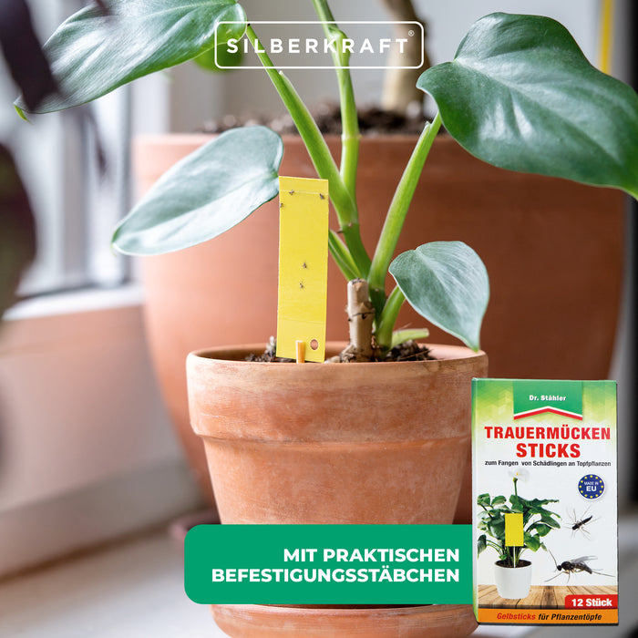 Bâtonnets de moucherons fongiques : Lutte efficace contre les aleurodes, les moucherons fongiques, les mouches des fruits et du vinaigre, les thrips et les cigales