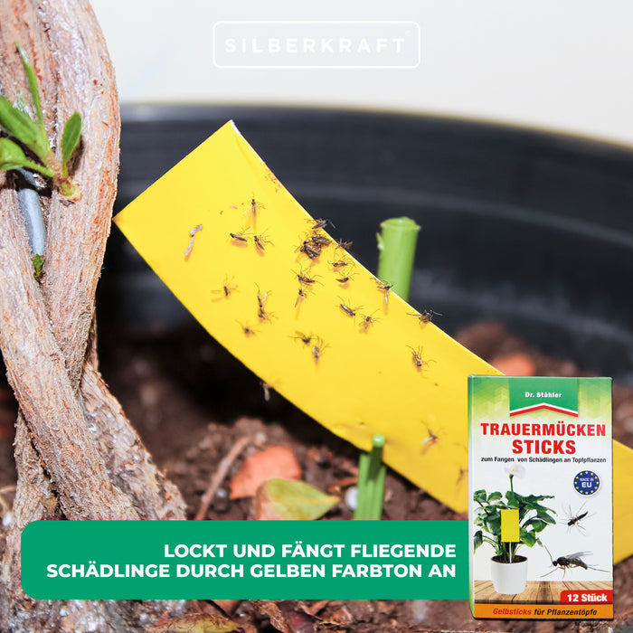 Bâtonnets de moucherons fongiques : Lutte efficace contre les aleurodes, les moucherons fongiques, les mouches des fruits et du vinaigre, les thrips et les cigales