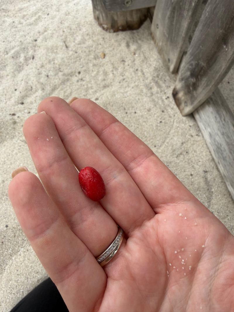 cire de cerise — photo 1 sur 10