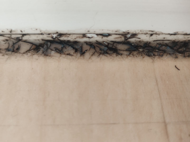 L'image montre de la moisissure noire, probablement Aspergillus niger, poussant le long d'un joint.
