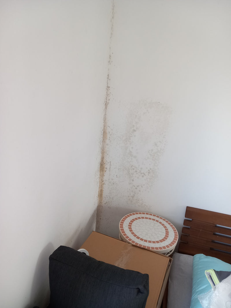 Une prolifération de moisissure sombre est visible dans le coin d'un mur de pièce blanc. Il s'agit de champignons de moisissure en croissance.
