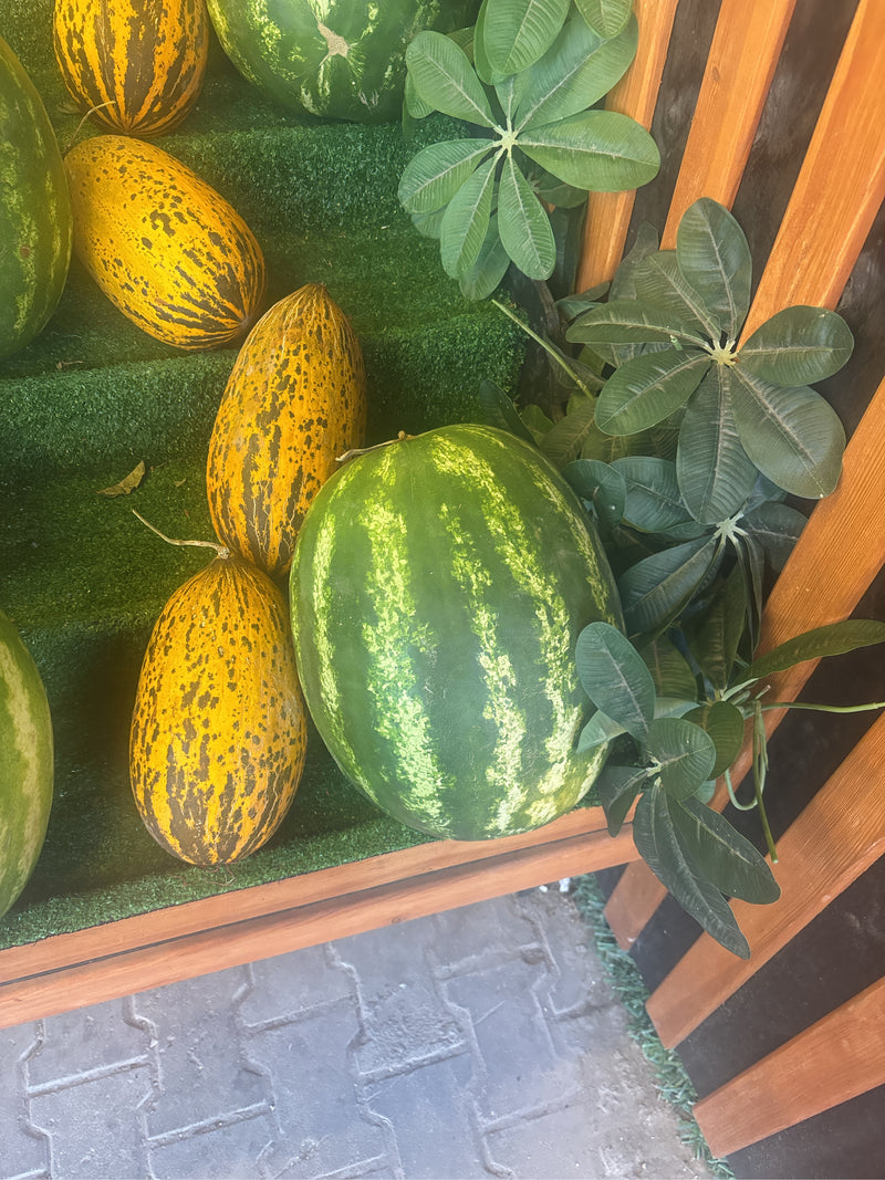Melons — Bild 1