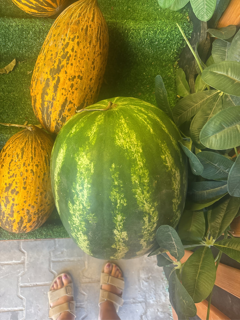 Melons — Bild 2