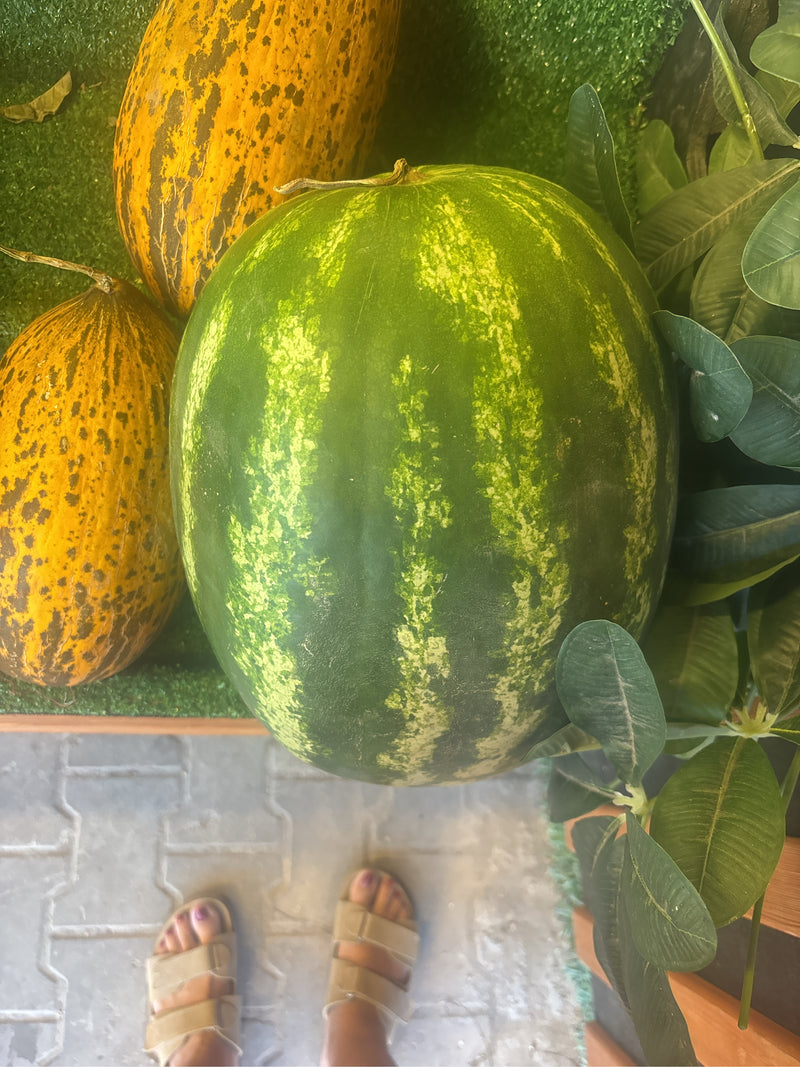 Melons — Bild 3