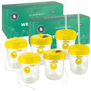 Ensemble de piège à guêpes