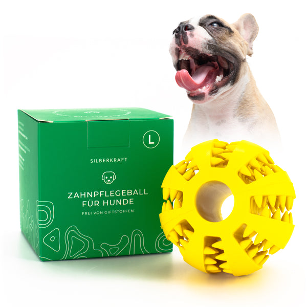 Balle pour chien avec picots pour soins dentaires - Silberkraft
