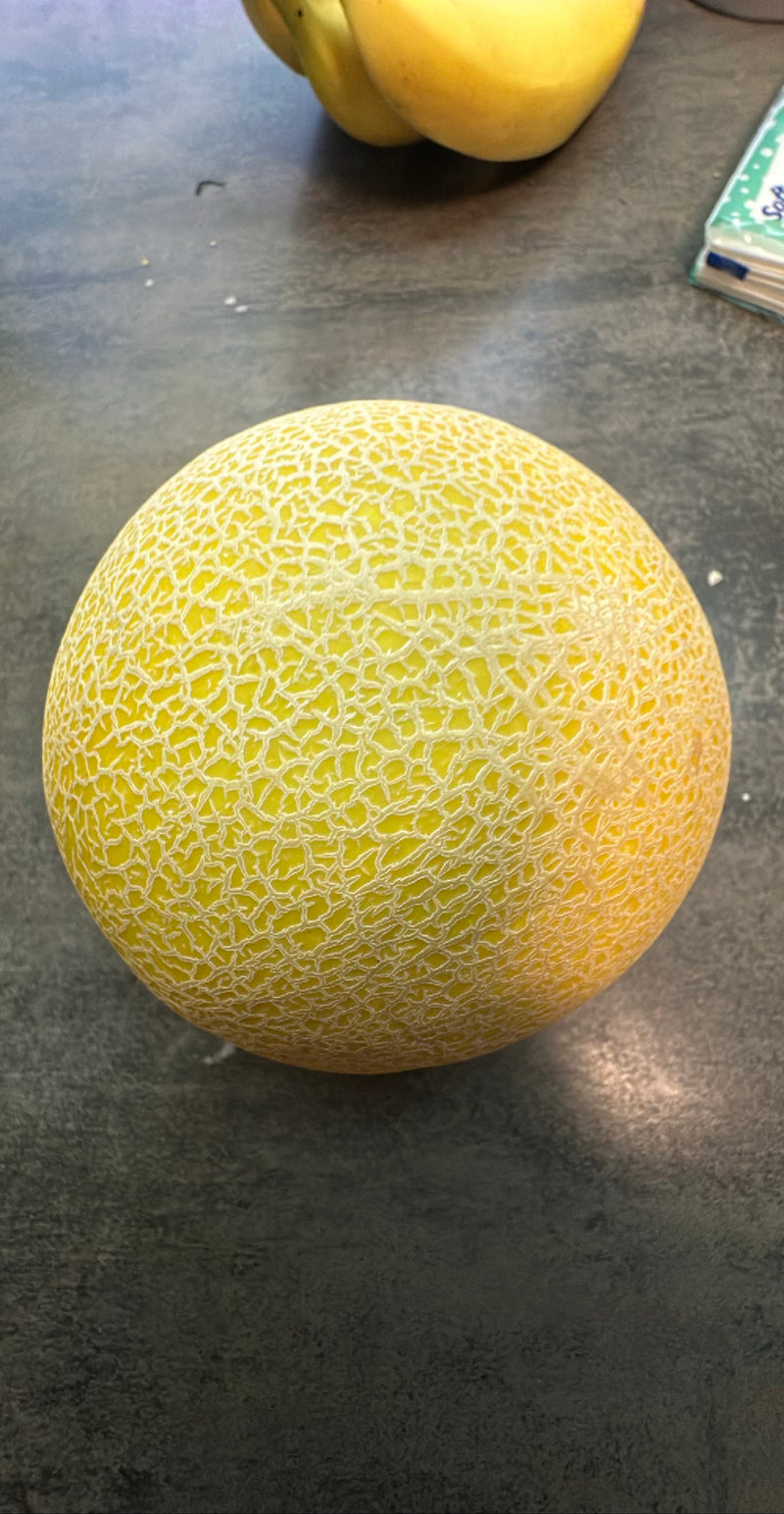 Cantaloup — Bild 1