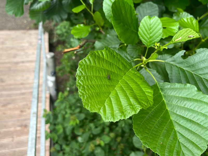 les sceptiques — Bild 5