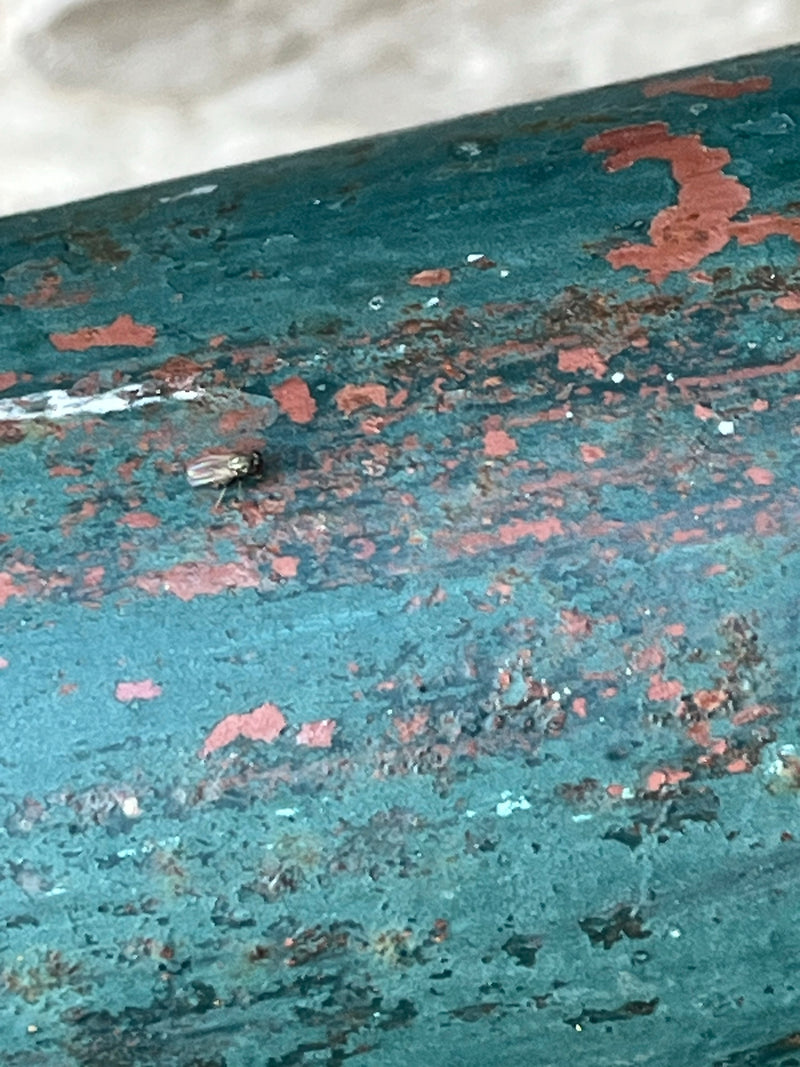 les sceptiques — Bild 2