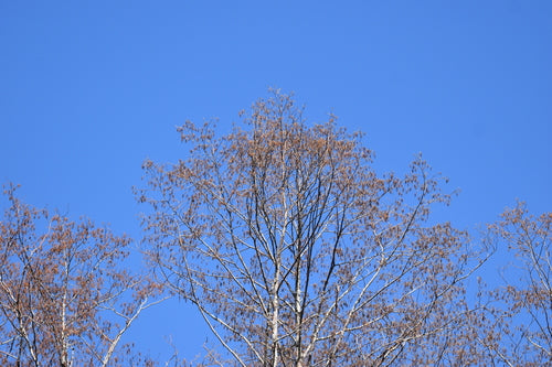 Tremble — Bild 3