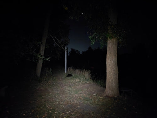 castor — Bild 1