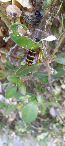 Naturaufnahme - Bild 7