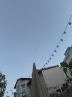 Oiseaux – Offenbach-sur-le-Main