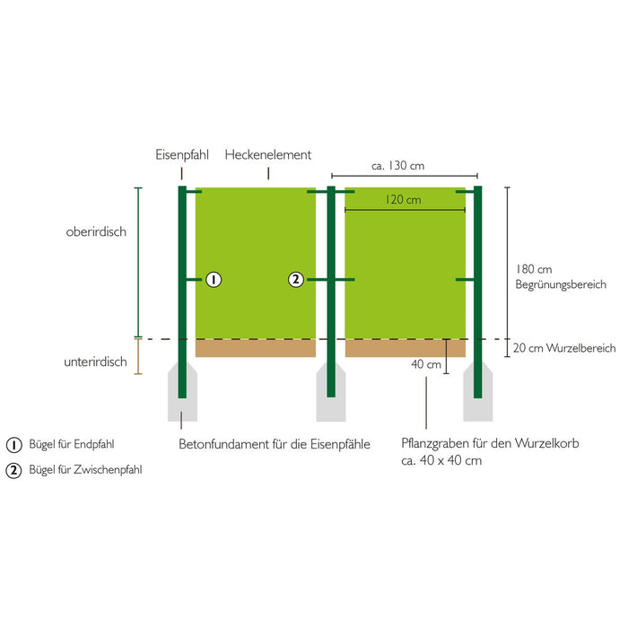 Schéma de montage : éléments de haie de 120 cm de large entre des poteaux espacés d’environ 1,30 m, partie racinaire de 20 cm dans une tranchée de 40 × 40 cm