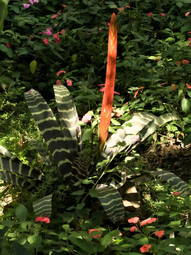 Épée flamboyante — Bild 2