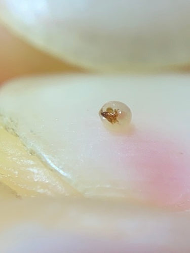 Naturaufnahme - Bild 3