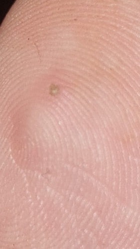 Naturaufnahme - Bild 1