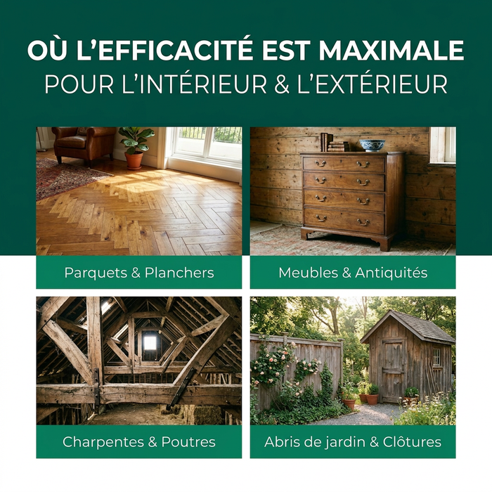 Spray anti-insectes xylophages : Traitement contre les insectes xylophages, les capricornes et les vrillettes du bois pour une utilisation intérieure et extérieure, incluant un livre électronique.