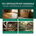 Spray anti-insectes xylophages : Traitement contre les insectes xylophages, les capricornes et les vrillettes du bois pour une utilisation intérieure et extérieure, incluant un livre électronique.