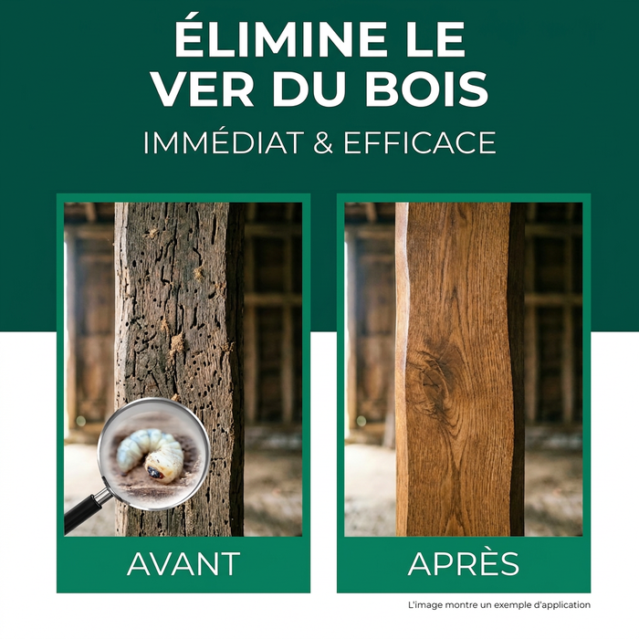Spray anti-insectes xylophages : Traitement contre les insectes xylophages, les capricornes et les vrillettes du bois pour une utilisation intérieure et extérieure, incluant un livre électronique.
