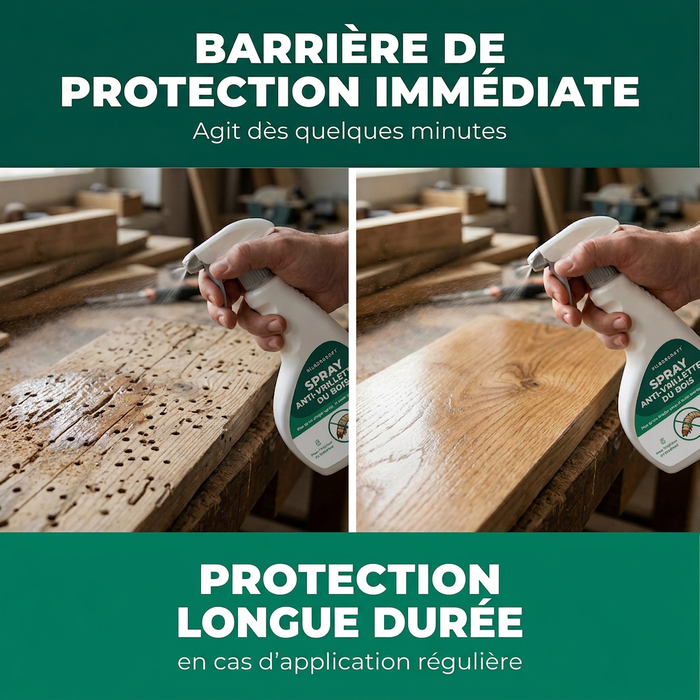 Spray anti-insectes xylophages : Traitement contre les insectes xylophages, les capricornes et les vrillettes du bois pour une utilisation intérieure et extérieure, incluant un livre électronique.