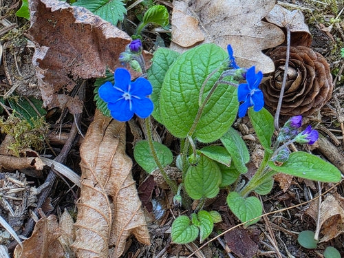 Mémorial du printemps — photo 4 sur 8