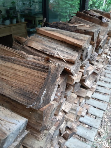 Guêpe des bois d'épinette jaune — Bild 1