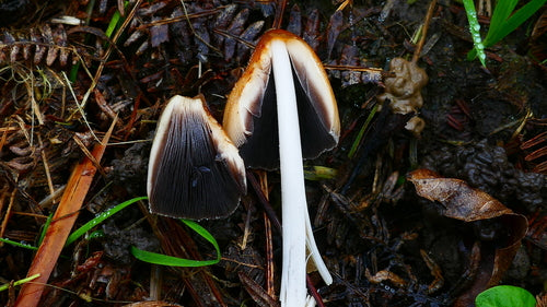 Des reflets scintillants — Bild 3