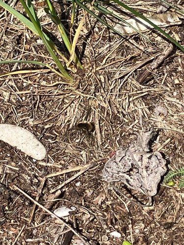 Gros flotteur en laine — Bild 5