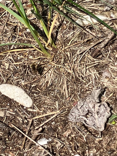 Gros flotteur en laine — Bild 4