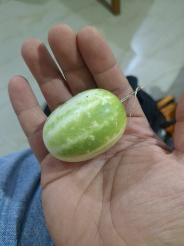 Concombres — Bild 2