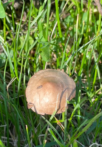 Engrais pour le foin — Bild 4