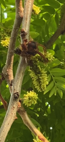 Naturaufnahme - Bild 3