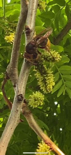 Naturaufnahme - Bild 4