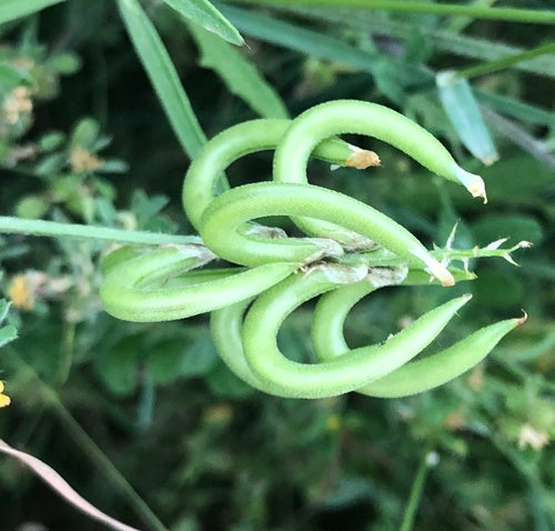 Naturaufnahme - Bild 6