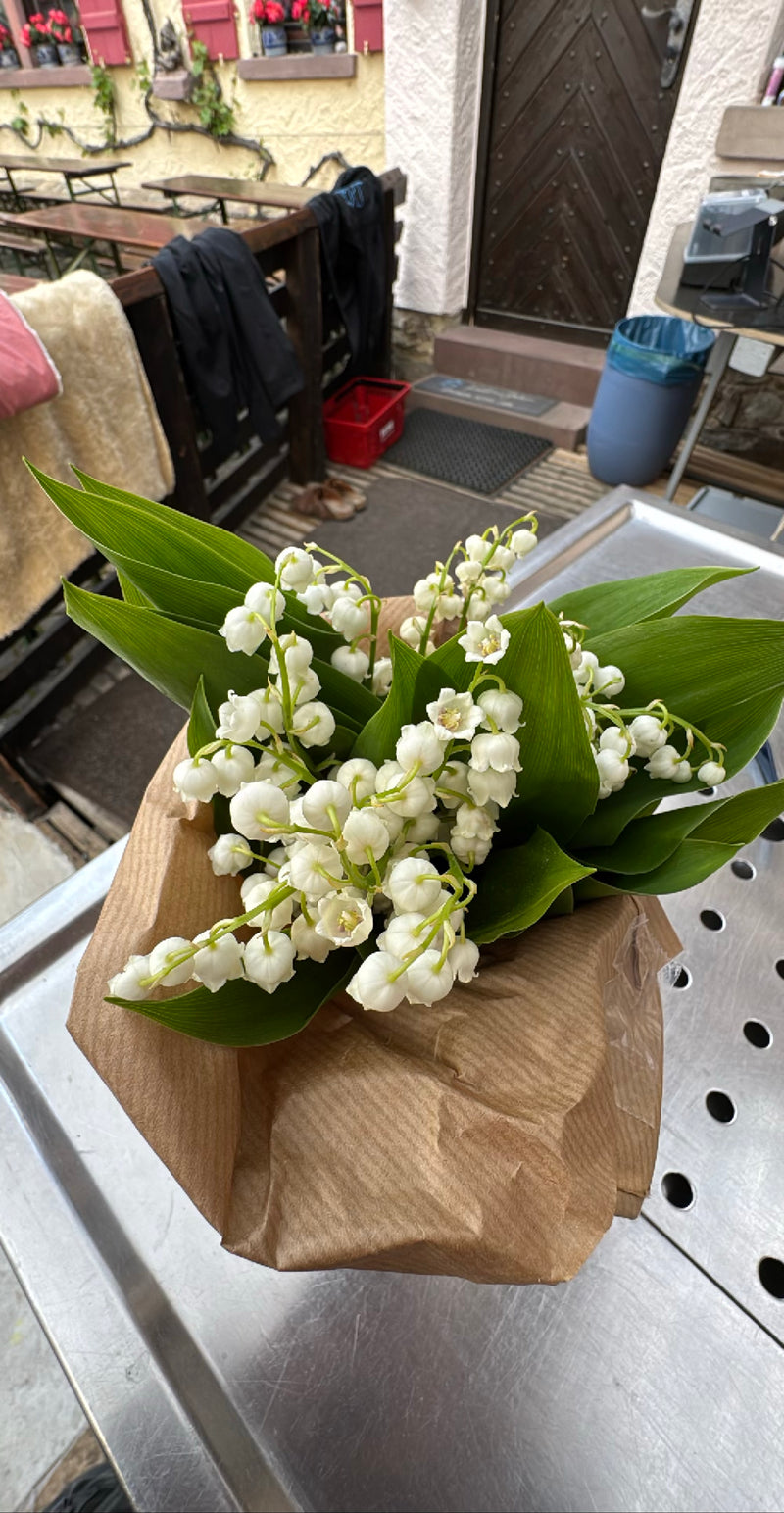Muguet — Bild 1