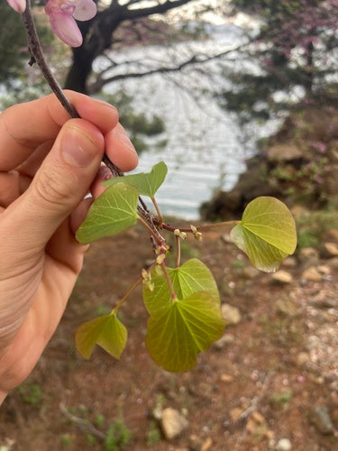 Naturaufnahme - Bild 6